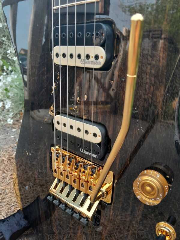 Hilditch Guitars Wayman Bog Oak 5